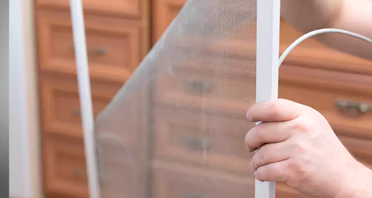 Privacy Mesh Screen Door Installation in Plantation, FL