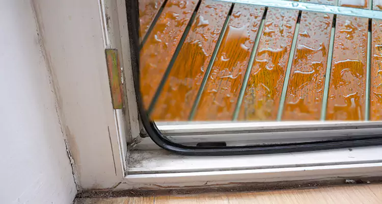 Water Leaking Wooden Patio Doors Repair in Plantation, FL