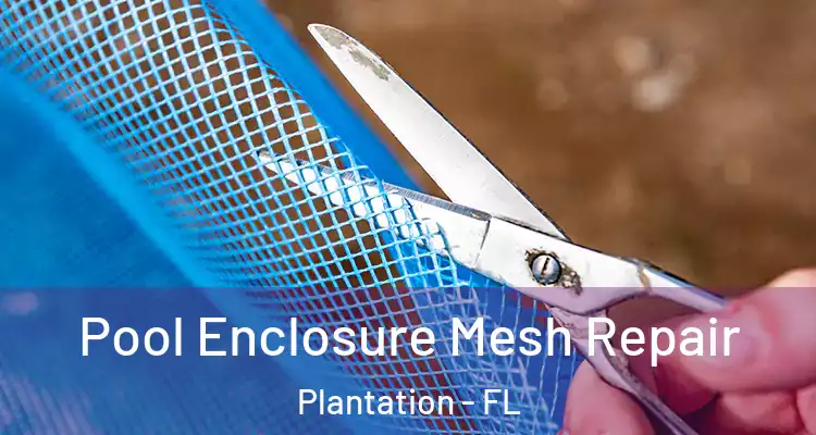  Pool Enclosure Mesh Repair Plantation - FL